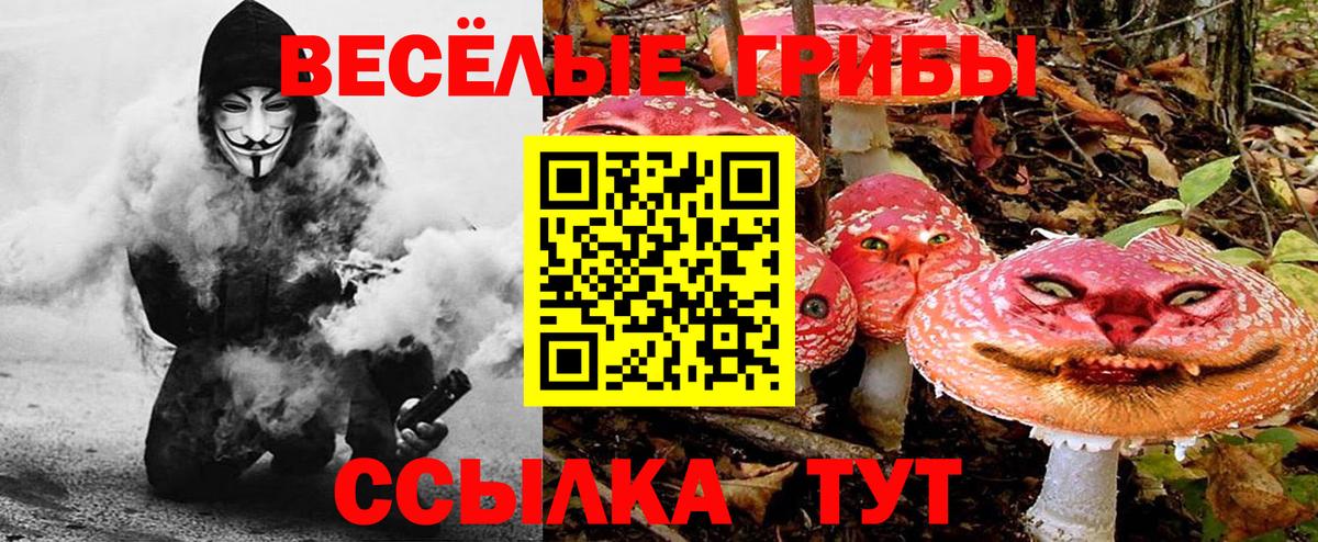 Ялта  Галлюциногенные грибы ЛСД  Вход с VPN 